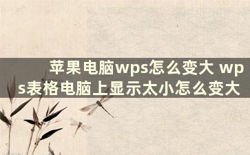 苹果电脑wps怎么变大 wps表格电脑上显示太小怎么变大